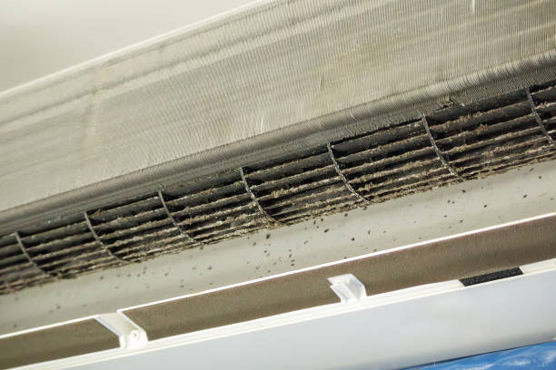 Best Air Duct Inspection  in Whitewater, WI