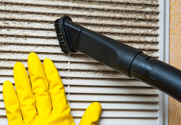 Best Air Duct Sanitizing Services  in Whitewater, WI